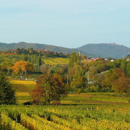 Le Gm Chambres D'Hotes De Charme En Alsace Мителвир Екстериор снимка