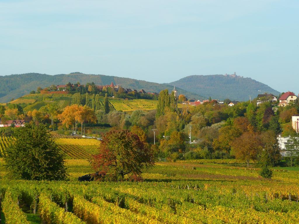 Le Gm Chambres D'Hotes De Charme En Alsace Мителвир Екстериор снимка